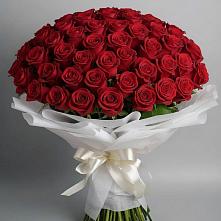 Букет 101 Красная роза Блэк Мэджик в Бежаницы