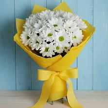 Букет цветов из:  Хризантемы в Бежаницы