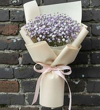Букет цветов из:  Гипсофила в Бежаницы
