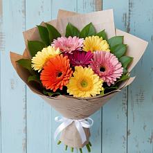 Букет цветов из:  Герберы в Бежаницы