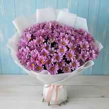 Букет цветов из:  Хризантемы в Бежаницы