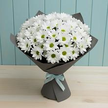 Букет цветов из:  Хризантемы #REPLACE_PRED# Бежаницы