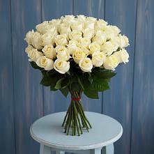 Букет 51 Белая роза Эдлесс Лав #REPLACE_PRED# Бежаницы