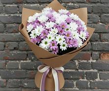 Букет цветов из:  Хризантемы #REPLACE_PRED# Бежаницы