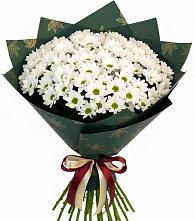 Букет цветов из:  Хризантемы #REPLACE_PRED# Бежаницы