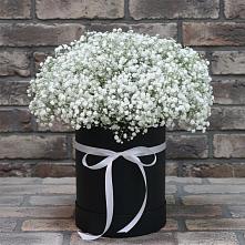 Цветочная композиция из Гипсофила в шляпной коробке в Бежаницы