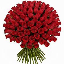 Букет Красные розы Чери Лав в Бежаницы