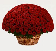 Премиум букет из: Розы в Бежаницы